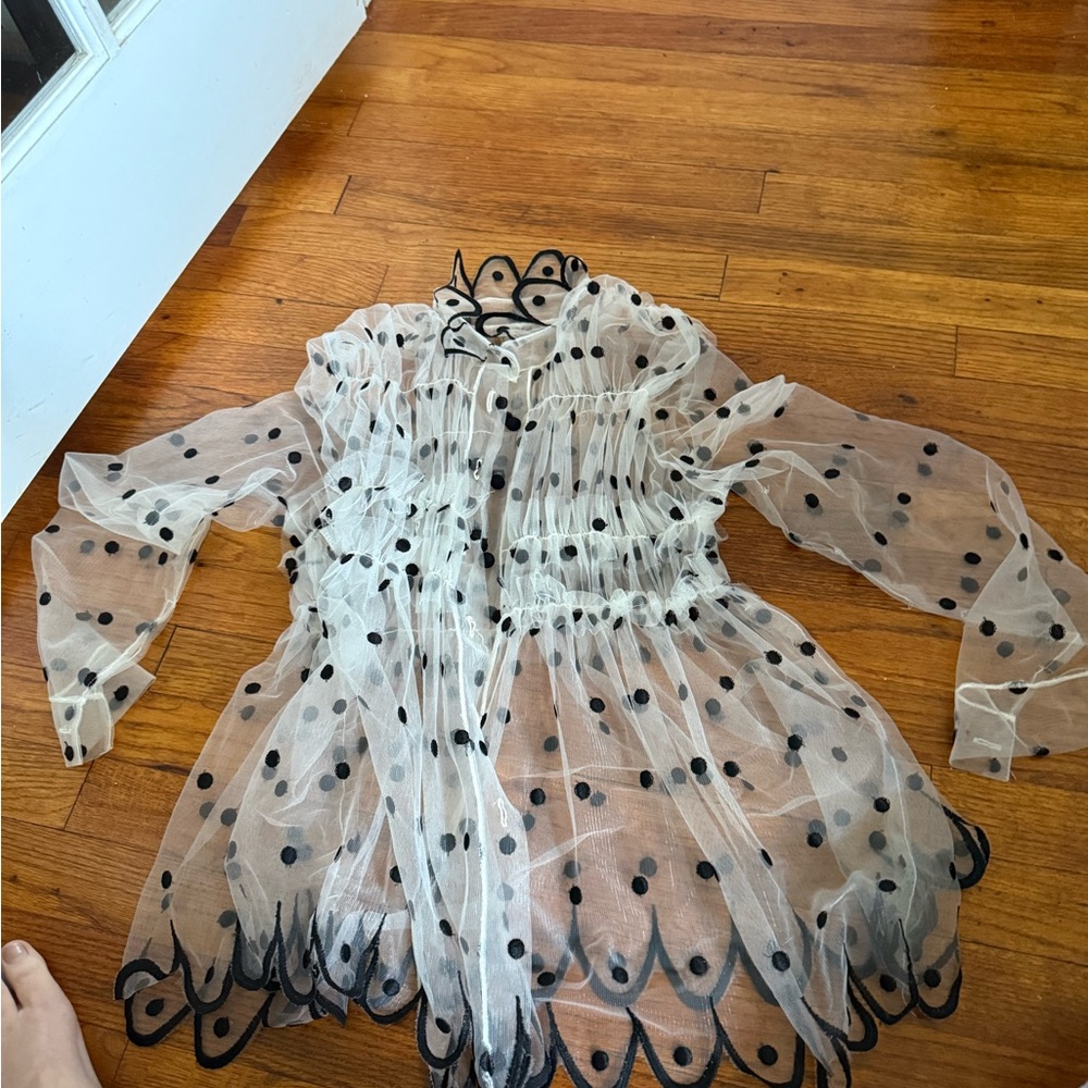 Sheer Polka Dot Blouse with Black Accents